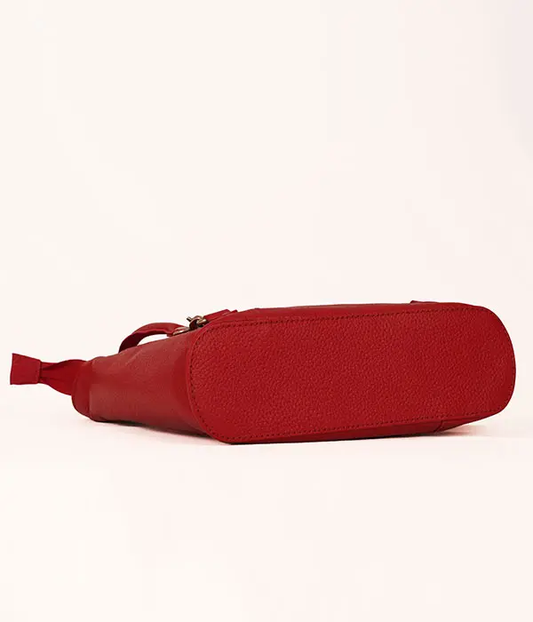 Red Duo Carry Bag